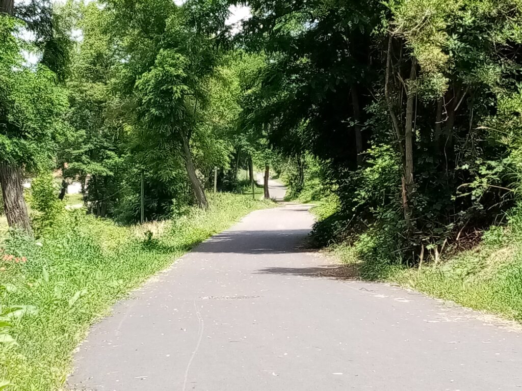 voie verte à roche la moliere axe couronne ouest du plan vélo metropolitain de saint-etienne metropole parc de roche la moliere acces vélo centre ville entreprise lear 